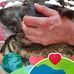 William Steyer - Facebook