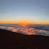 williamstiffler - @williamstiffler - TikTok