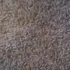 William Stiver - @william.stiver7 - TikTok