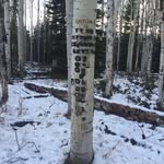 William Stoneking - @william.stoneking.12 - Instagram