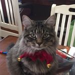 Storm_William_Truitt - @storm_william_truitt - Instagram