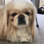 William Storm Pedersen - @williamstormpedersen - Instagram