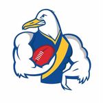 Williamstown Football Club - @williamstownfc - Instagram