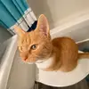 Will_i_am - @williamisstraight6 - TikTok
