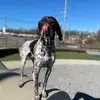william strait - @williamstrait54 - TikTok