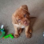 william strange - @williamstrange79 - Instagram