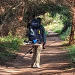 William Straten - @williamstraten - Instagram