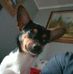 William Strawser - Facebook