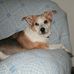 Williamb Streeter - Facebook