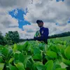 William M.streit - @ws.streit - TikTok