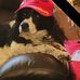 William Stringfellow - Facebook