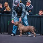 William Strother - @william.strother.5099 - Instagram