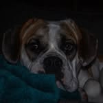 William Strubhar - @william.strubhar - Instagram