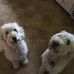 William Struble - Facebook