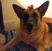 William Schrubbe - Facebook