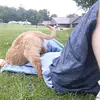 William Studt - @og_williamstudt217 - TikTok
