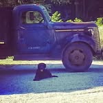Todd Sublette - @william_sublette66 - Instagram