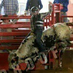 william summitt - @bullrider1325 - Instagram