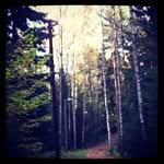 William Sumter - @urtyrely - Instagram