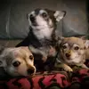 william.sundquist200 - @william.sundquist - TikTok