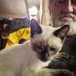 William Suter - @joes_the_mechanic - Instagram