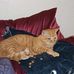 William Sutherland - Facebook