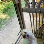 William Sutter - Facebook