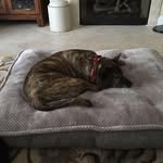 William Sutter - @wsutter335 - Instagram