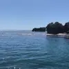 Will - @william.sutton - TikTok