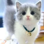 William Sutton - Facebook