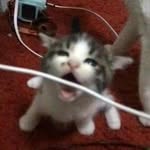 William Swanger - @baby_sidon - Instagram