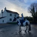 William Swift - @my.piebald.amber - Instagram