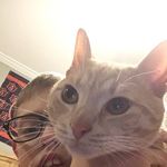 Will Swords - @william_swords12 - Instagram