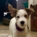 William Swyers - Facebook