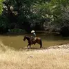 William Tackett - @doubletropehorses - TikTok