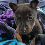 Amber-William Talbott - @amberwilliamtalbott - Instagram