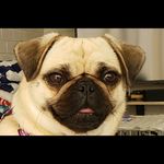 William G Talbott - @gtalbottmd - Instagram