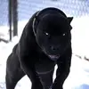 williamtalbott51 - @williamtalbott51 - TikTok