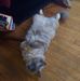William Tallman - Facebook