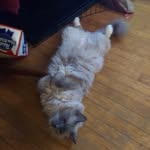 William Tallman - @williamtallman72 - Instagram