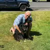 williamtallman6 - @williamtallman6 - TikTok