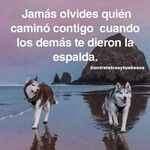 William Tapia - @william.tapia.7758 - Instagram