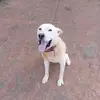 williamtate28 - @williamtate28 - TikTok