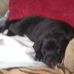 William J. Tedesco - Facebook