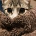 William Terhune - Facebook