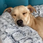 William Thackeray - @williamjthackeray1 - Instagram