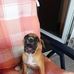 William Thalmann - Facebook
