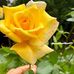 William Thiessen - Facebook