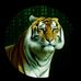 William Tiger - Facebook