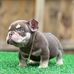 William Tigner - Facebook